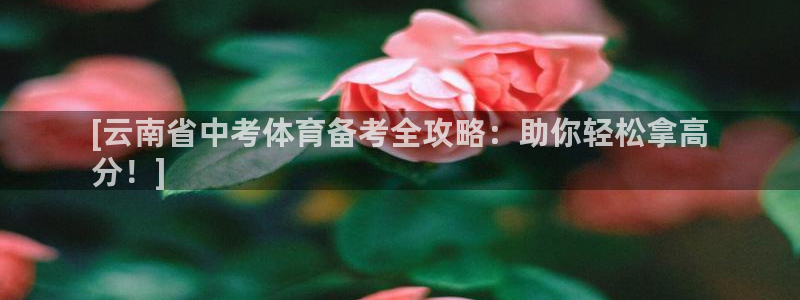 极悦娱乐的最新版本更新内容在哪：[云南省中考体育备考