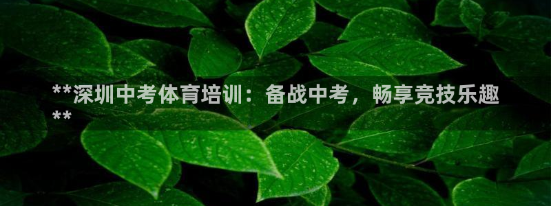 极悦平台官网下载中心：**深圳中考体育培训：备战中考