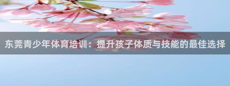 极悦官方网站app下载：东莞青少年体育培训：提升孩子