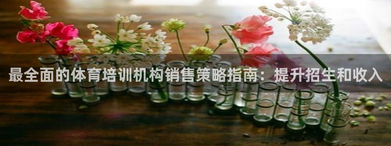 极悦平台注册官方网站下载安卓：最全面的体育培训机构销