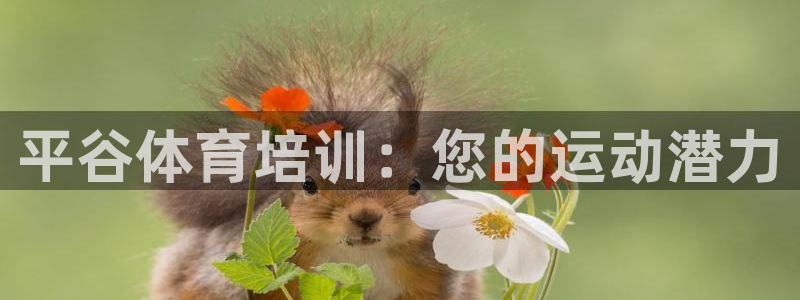 极悦娱乐游戏安全吗：平谷体育培训：您的运动潜力