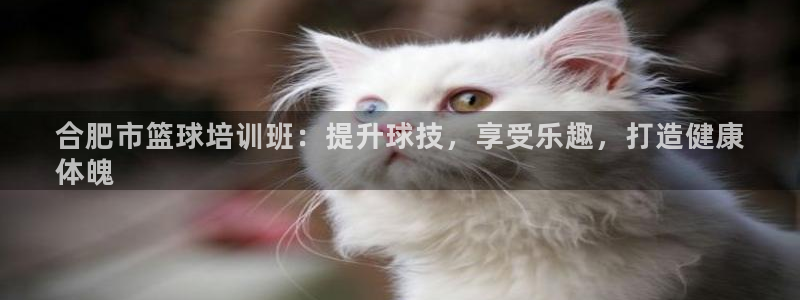 极悦官网下载最新版本更新内容视频：合肥市篮球培训班：