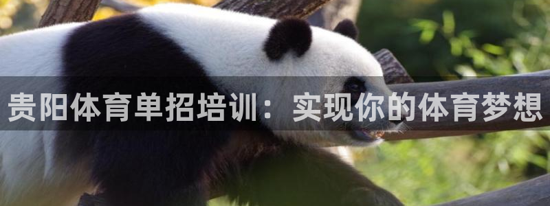 极悦平台官网入口：贵阳体育单招培训：实现你的体育梦想