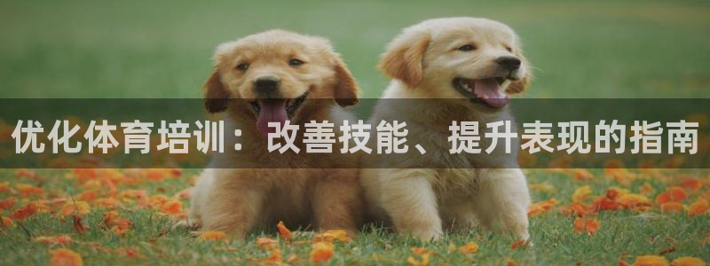 极悦平台官方网站登录入口：优化体育培训：改善技能、提