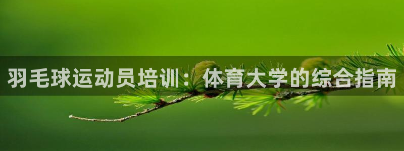 极悦平台注册失败如何解决：羽毛球运动员培训：体育大学