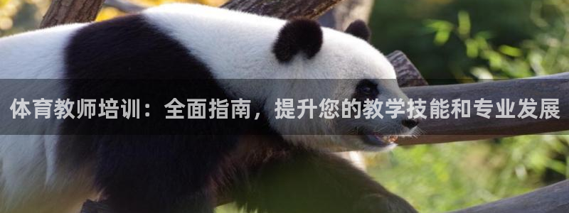 极悦平台安全吗可信吗：体育教师培训：全面指南，提升您