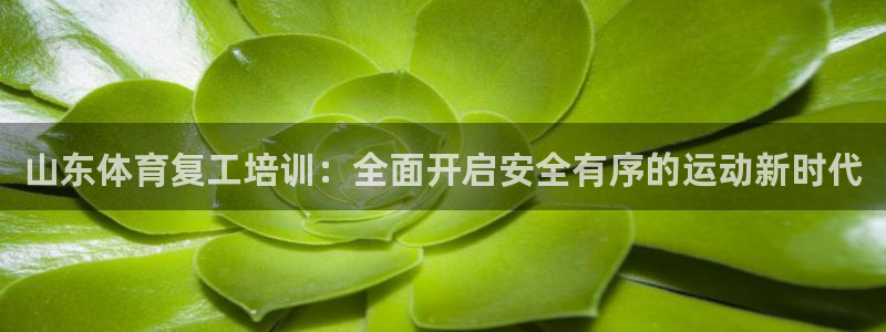 极悦娱乐会被骗吗是真的吗：山东体育复工培训：全面开启
