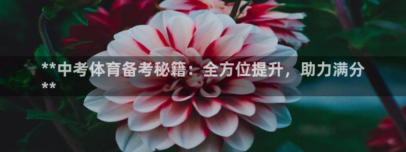 加盟极悦教育多少钱：**中考体育备考秘籍：全方位提升