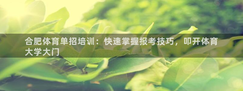 极悦娱乐代理人是谁呀：合肥体育单招培训：快速掌握报考