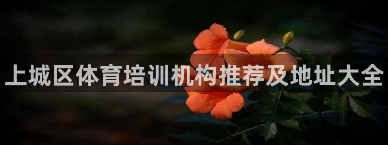 极悦平台客服的联系方式是多少：上城区体育培训机构推荐