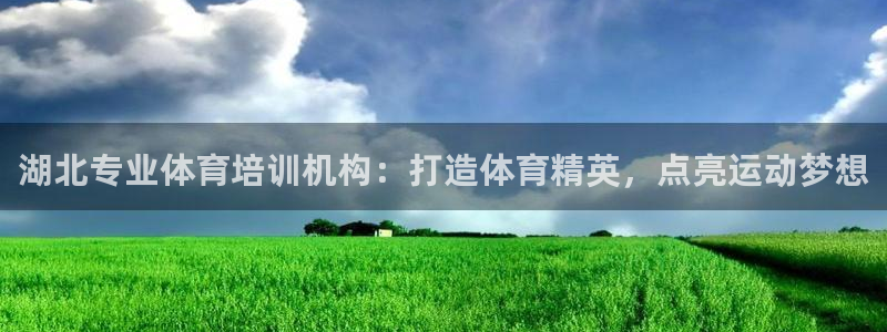 极悦平台用户评价在哪里看：湖北专业体育培训机构：打造