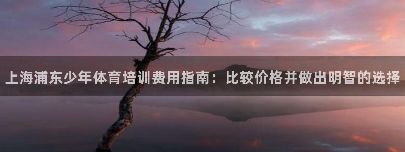 极悦官网注册最新版本更新内容在哪：上海浦东少年体育培