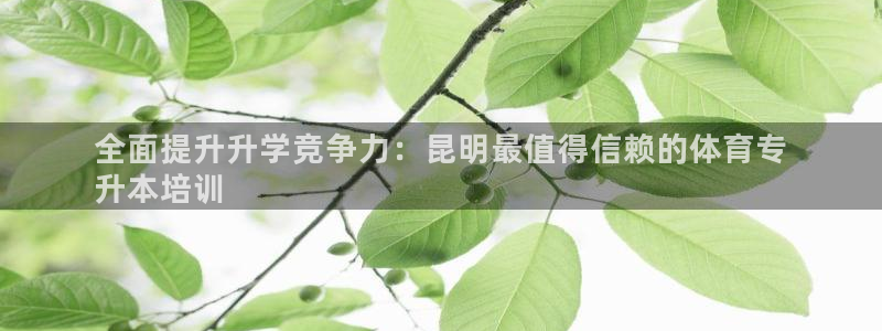 极悦平台安全吗是真的吗：全面提升升学竞争力：昆明最值