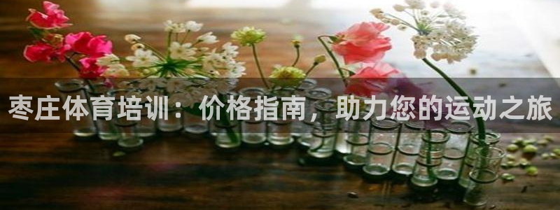 极悦平台使用注意事项：枣庄体育培训：价格指南，助力您