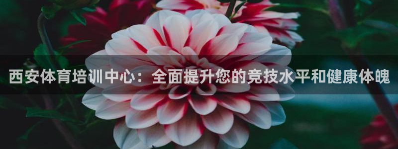 极悦娱乐旗下艺人名单：西安体育培训中心：全面提升您的