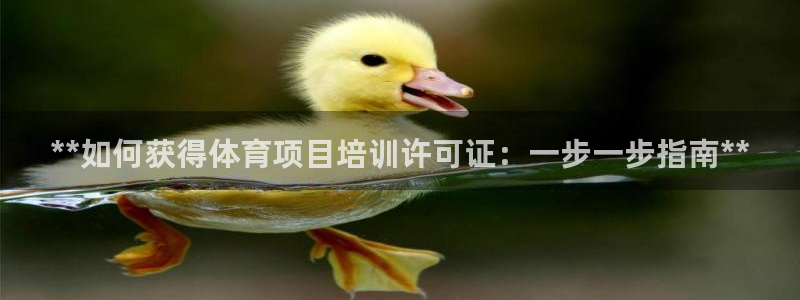 极悦娱乐官网最新版本更新内容是什么：**如何获得体育