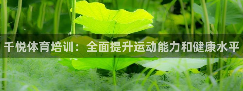 极悦平台安全吗可靠吗：千悦体育培训：全面提升运动能力