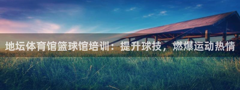 极悦平台用户评价怎么样：地坛体育馆篮球馆培训：提升球