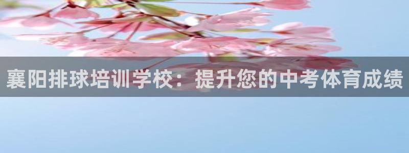 极悦娱乐会被骗吗知乎文章：襄阳排球培训学校：提升您的