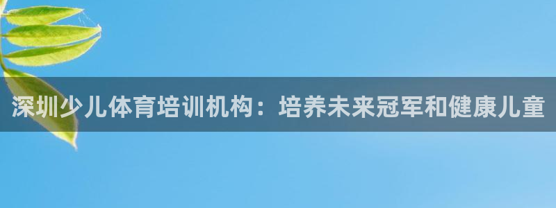 极悦平台使用教程图解：深圳少儿体育培训机构：培养未来