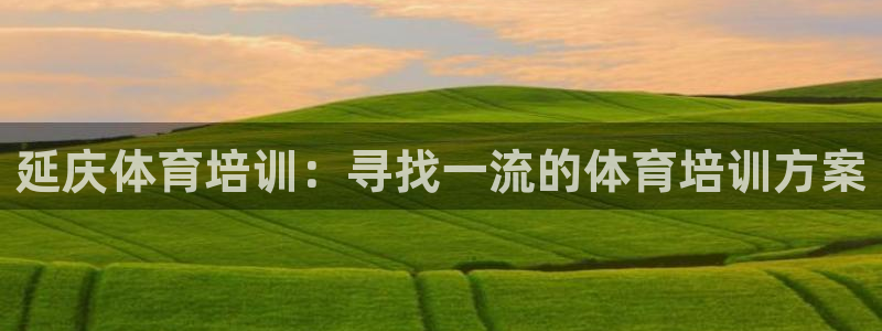极悦平台是干什么的软件：延庆体育培训：寻找一流的体育