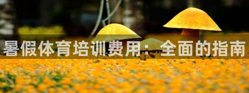 极悦平台平台注册方法与步骤图：暑假体育培训费用：全面