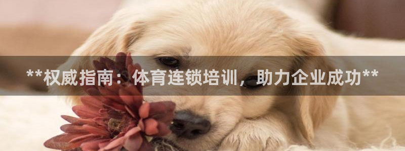 极悦平台好7.0.2.4怎么样：**权威指南：体育连