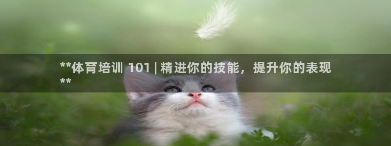 极悦平台反7O777