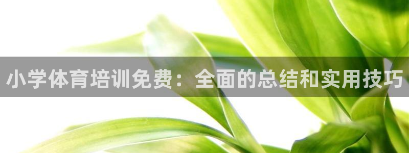 极悦平台有风险吗：小学体育培训免费：全面的总结和实用技巧