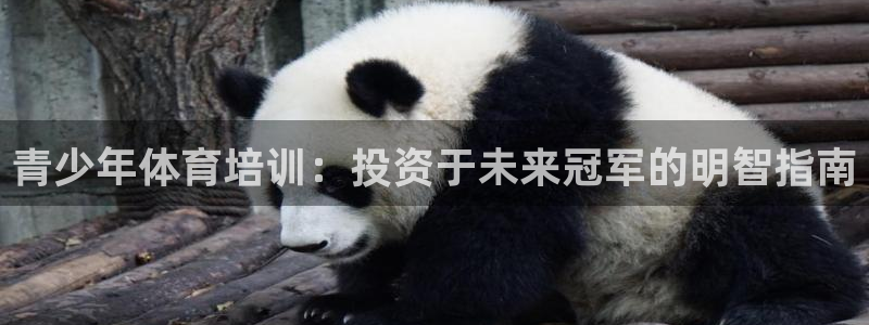极悦平台和蓝狮平台区别是什么：青少年体育培训：投资于