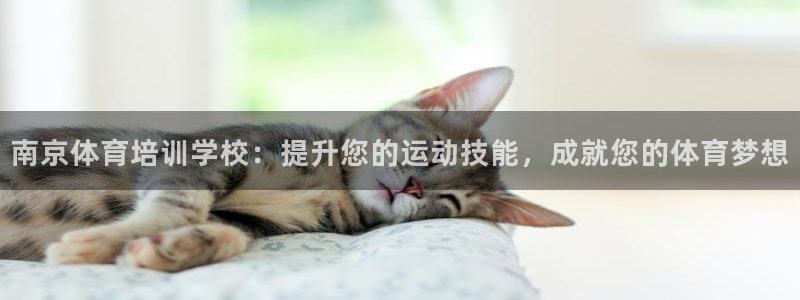 极悦平台城7O777：南京体育培训学校：提升您的运动
