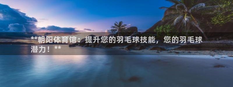 极悦平台布7O777：**朝阳体育馆：提升您的羽毛球
