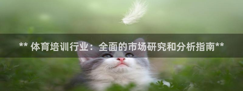 极悦平台代理电话：** 体育培训行业：全面的市场研究