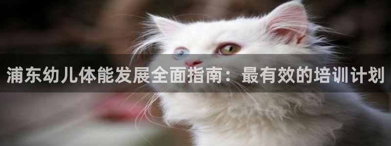 极悦平台官方网址查询：浦东幼儿体能发展全面指南：最有