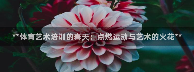 极悦娱乐官网APP下载：**体育艺术培训的春天：点燃