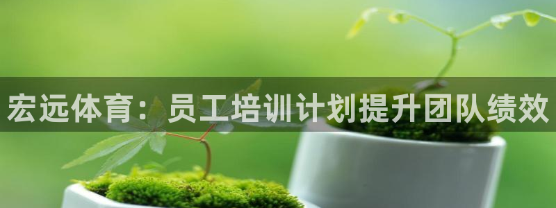 极悦平台城7O777：宏远体育：员工培训计划提升团队