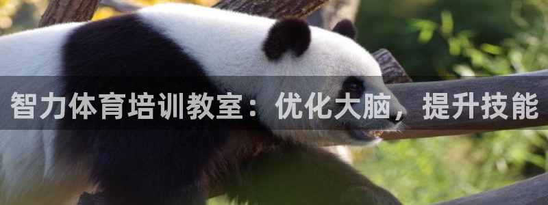 极悦平台代理怎么赚钱的：智力体育培训教室：优化大脑，
