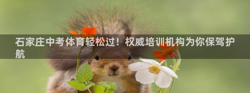 极悦平台官网登录网址查询：石家庄中考体育轻松过！权威