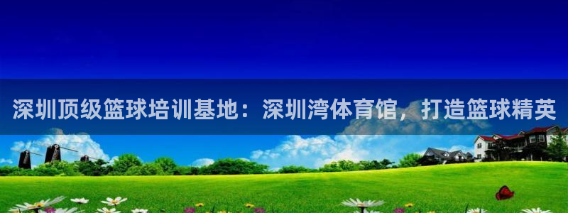 极悦平台注册用户名格式不正确：深圳顶级篮球培训基地：