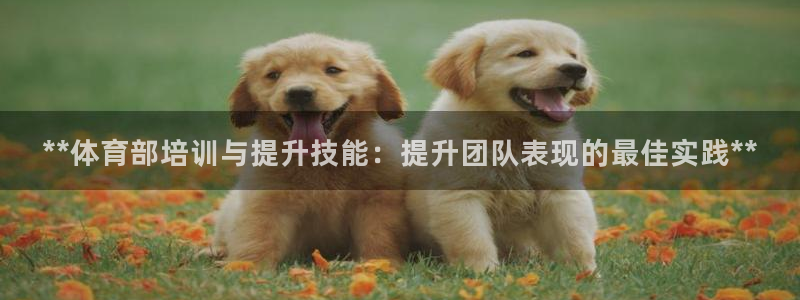 极悦平台官网入口：**体育部培训与提升技能：提升团队