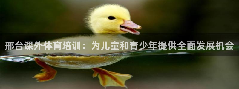 极悦娱乐登录拒绝访问怎么办：邢台课外体育培训：为儿童和青少年