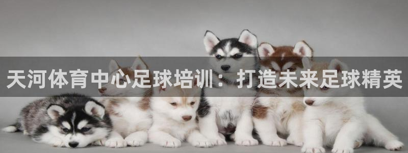 极悦平台登录最新版本更新内容在哪：天河体育中心足球培训：打造