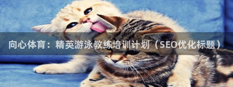 极悦平台创始人背景故事视频：向心体育：精英游泳教练培训计划（