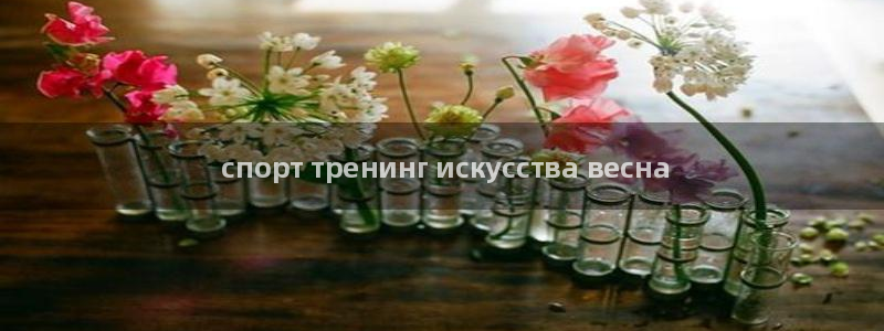 极悦平台官方网站： спорт тренинг искусс