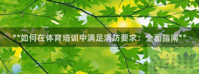 极悦平台app二维码怎么弄：**如何在体育培训中满足消防要求