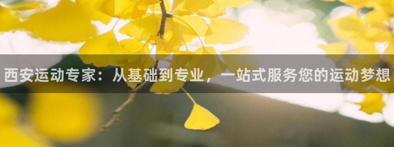 极悦娱乐管理最建议买吗
