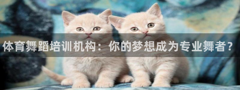 极悦平台股东有哪些