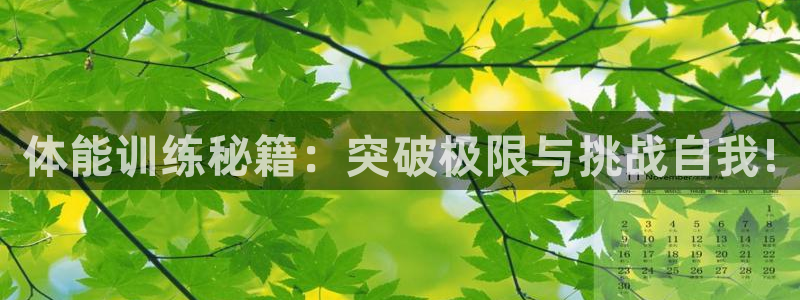极悦平台登录方式：体能训练秘籍：突破极限与挑战自我!