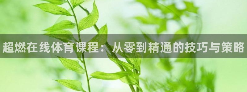 极悦平台代理电话：超燃在线体育课程：从零到精通的技巧