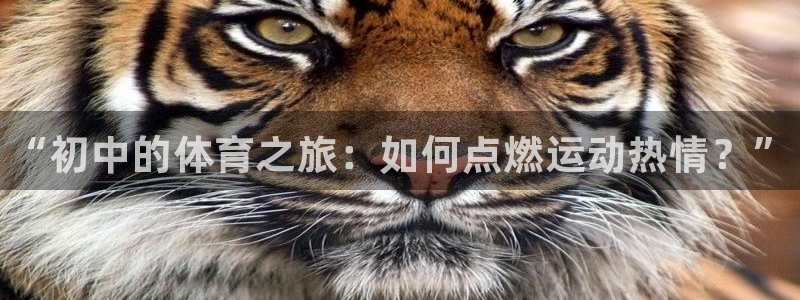 极悦平台告7O777：“初中的体育之旅：如何点燃运动